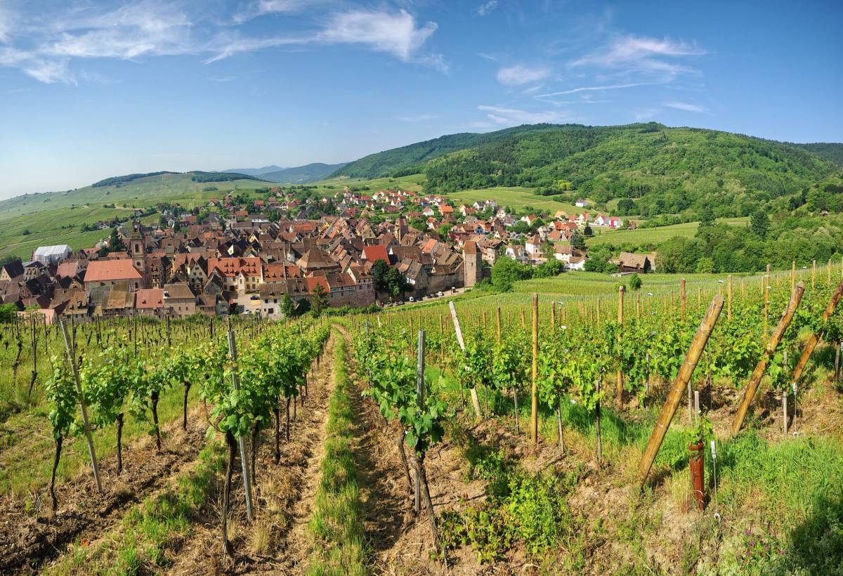 Commodités et commerces à proximité de nos chambres à Kaysersberg Ensisheim