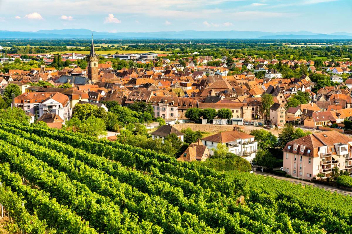 Photos pied de page Colmar 0