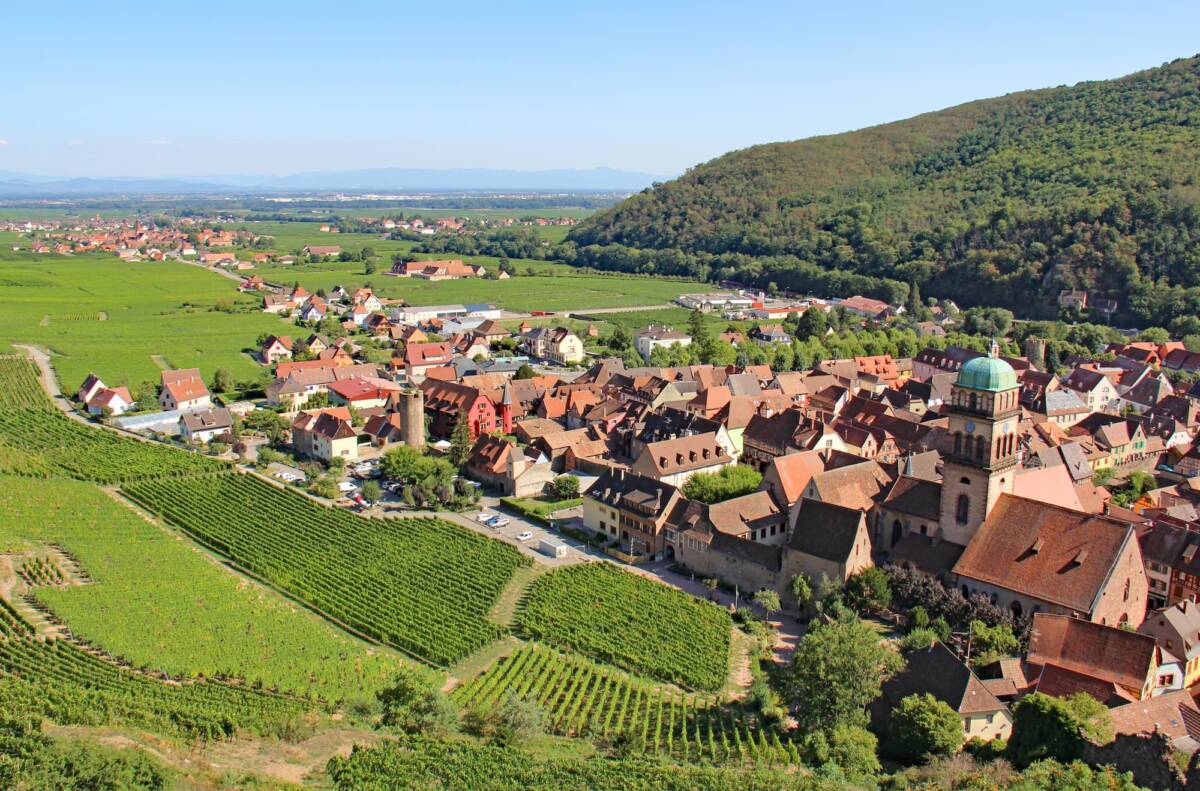 5 raisons de séjourner au cœur d’un vignoble Munster